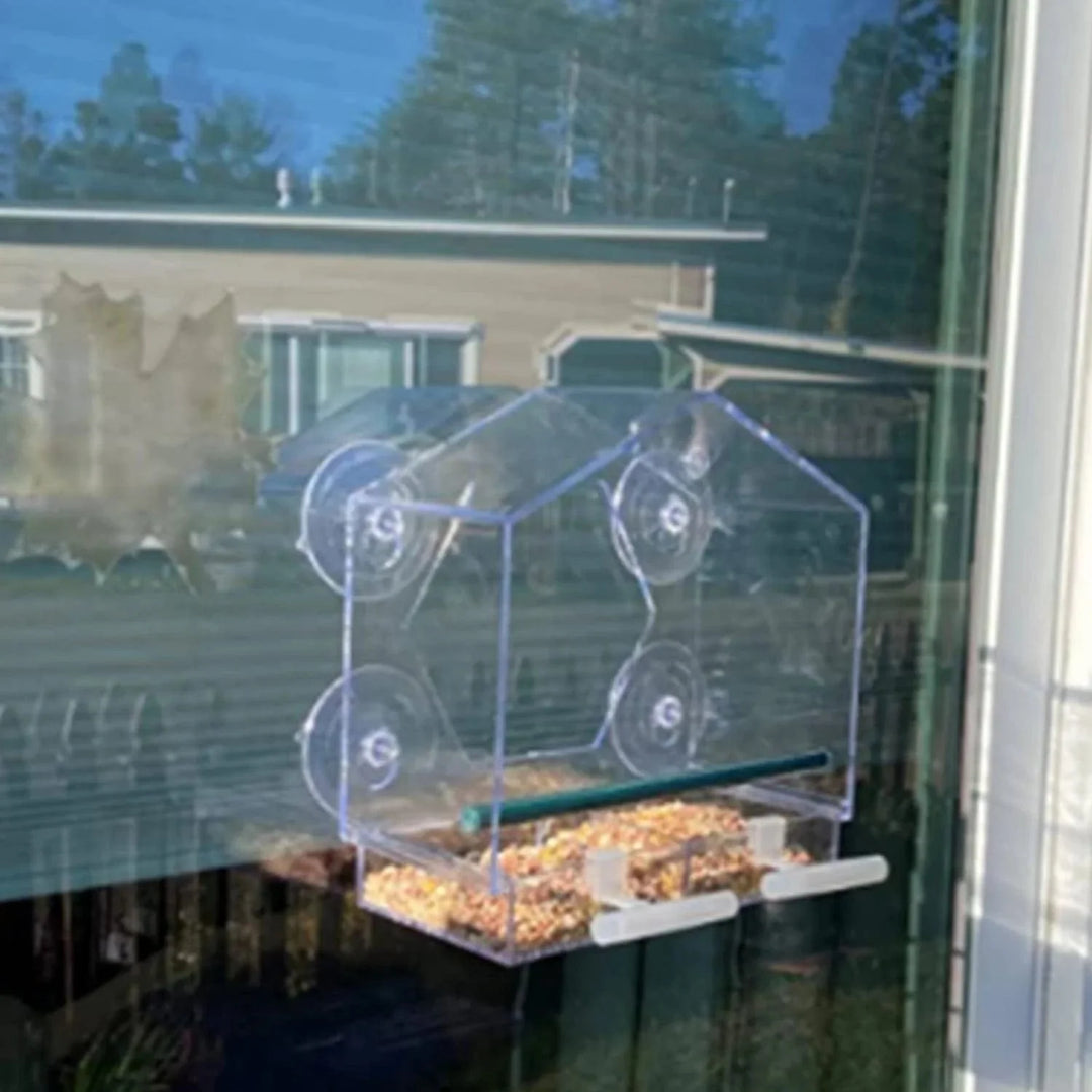 Acrylic Clear Glass Window Birds Hanging Feeder Birdhouse Food Feeding House Table Seed Peanut Suction Cup | Stornfield