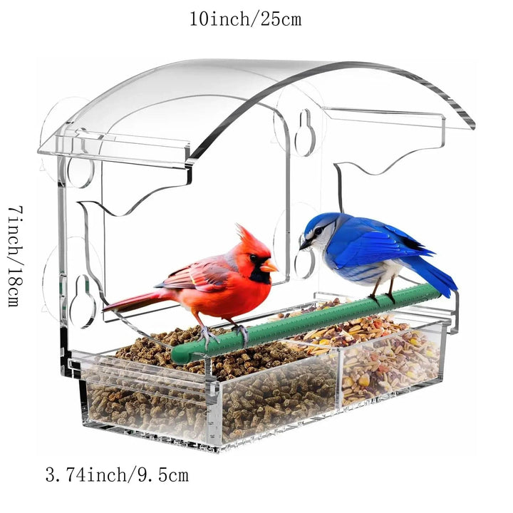 Acrylic Clear Glass Window Birds Hanging Feeder Birdhouse Food Feeding House Table Seed Peanut Suction Cup | Stornfield