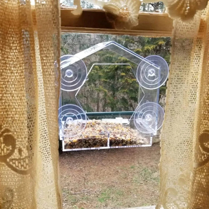 Acrylic Clear Glass Window Birds Hanging Feeder Birdhouse Food Feeding House Table Seed Peanut Suction Cup | Stornfield