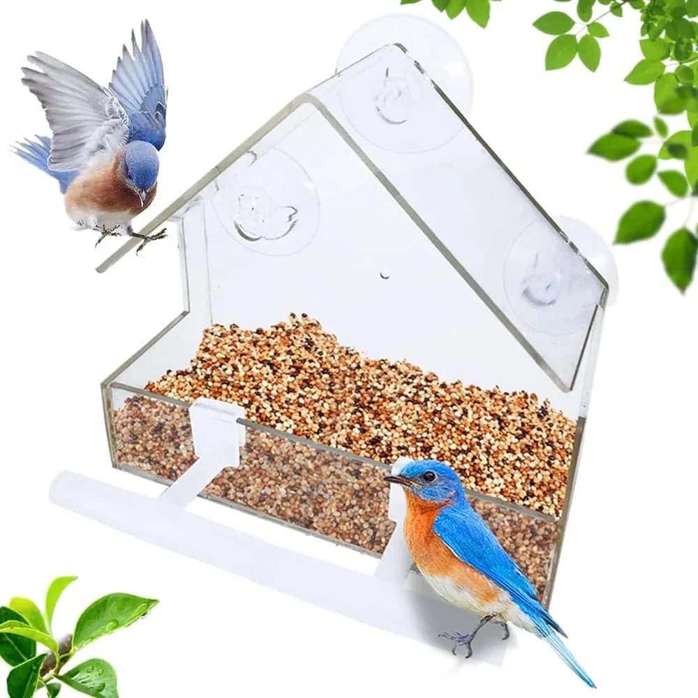 Acrylic Clear Glass Window Birds Hanging Feeder Birdhouse Food Feeding House Table Seed Peanut Suction Cup | Stornfield