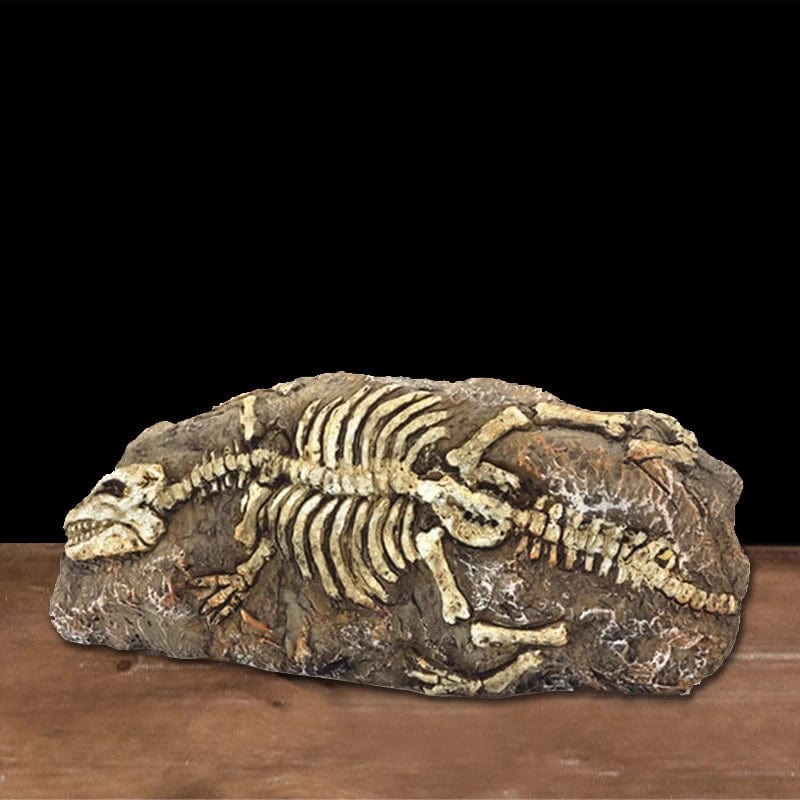 Animals Skull Fish Tank Fossil Dinosaur Ornaments Aquarium Rhinoceros Bone Decoration Fishbowl Crocodile Jellyfish Carp Turtle | Stornfield