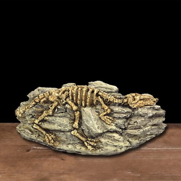 Animals Skull Fish Tank Fossil Dinosaur Ornaments Aquarium Rhinoceros Bone Decoration Fishbowl Crocodile Jellyfish Carp Turtle | Stornfield