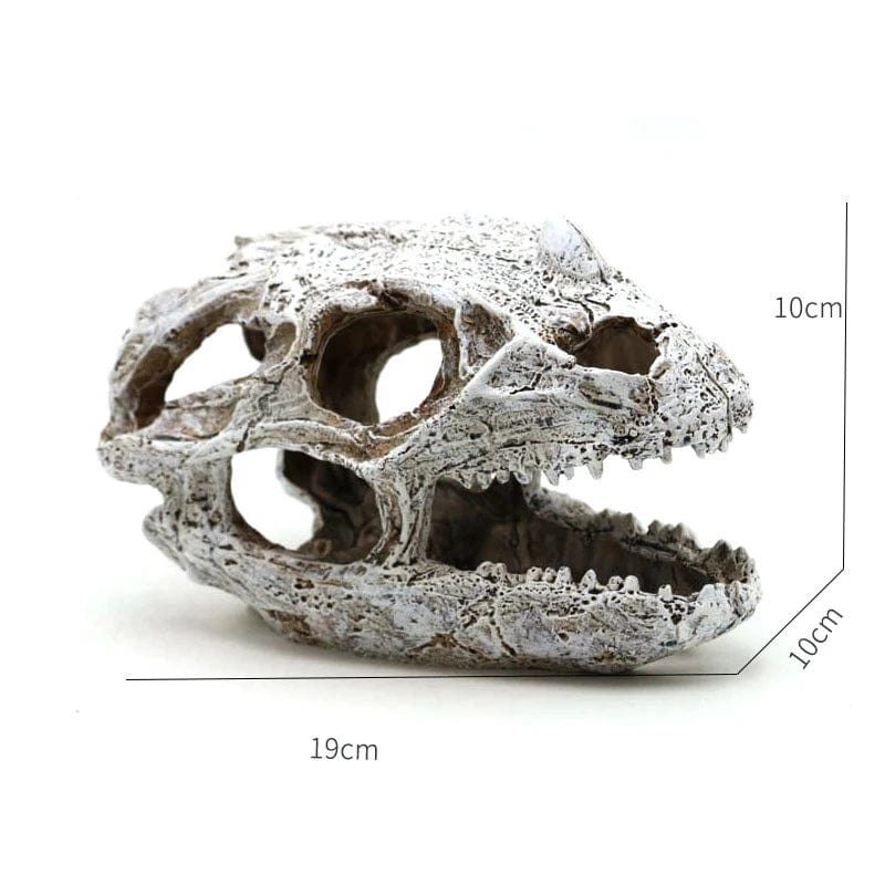 Animals Skull Fish Tank Fossil Dinosaur Ornaments Aquarium Rhinoceros Bone Decoration Fishbowl Crocodile Jellyfish Carp Turtle | Stornfield