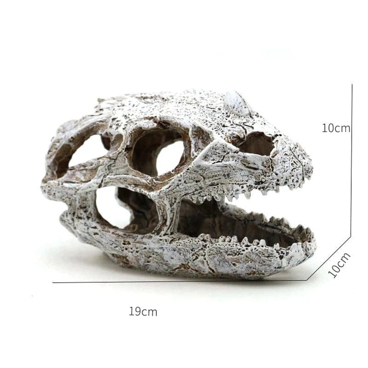 Animals Skull Fish Tank Fossil Dinosaur Ornaments Aquarium Rhinoceros Bone Decoration Fishbowl Crocodile Jellyfish Carp Turtle | Stornfield