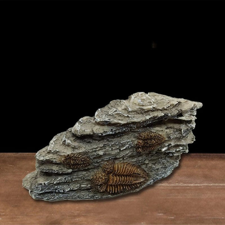 Animals Skull Fish Tank Fossil Dinosaur Ornaments Aquarium Rhinoceros Bone Decoration Fishbowl Crocodile Jellyfish Carp Turtle | Stornfield