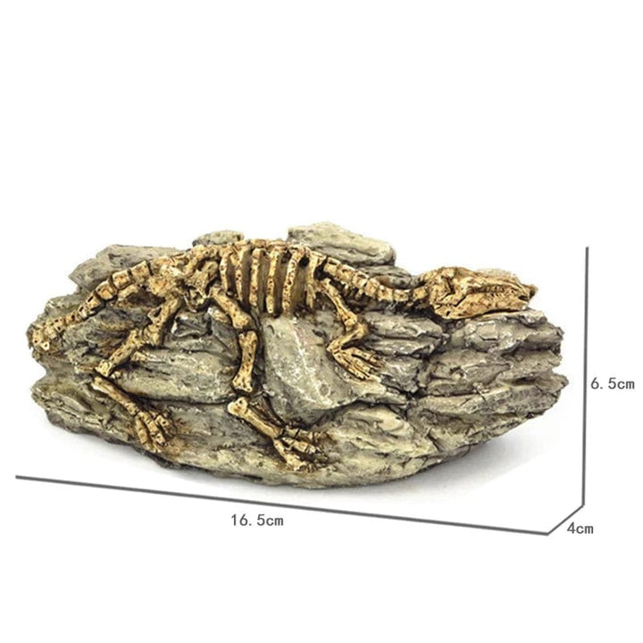 Animals Skull Fish Tank Fossil Dinosaur Ornaments Aquarium Rhinoceros Bone Decoration Fishbowl Crocodile Jellyfish Carp Turtle | Stornfield