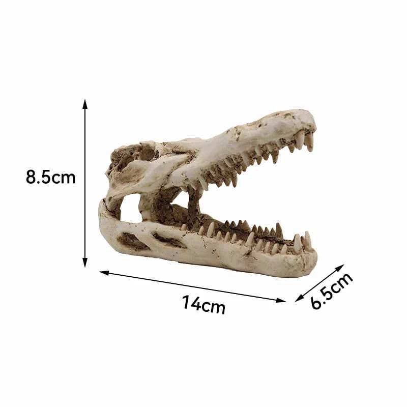 Animals Skull Fish Tank Fossil Dinosaur Ornaments Aquarium Rhinoceros Bone Decoration Fishbowl Crocodile Jellyfish Carp Turtle | Stornfield