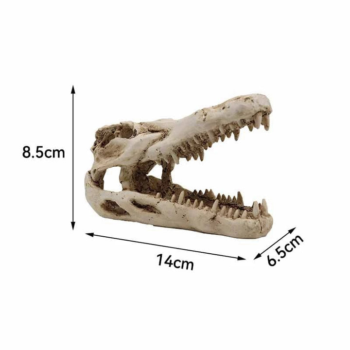 Animals Skull Fish Tank Fossil Dinosaur Ornaments Aquarium Rhinoceros Bone Decoration Fishbowl Crocodile Jellyfish Carp Turtle | Stornfield