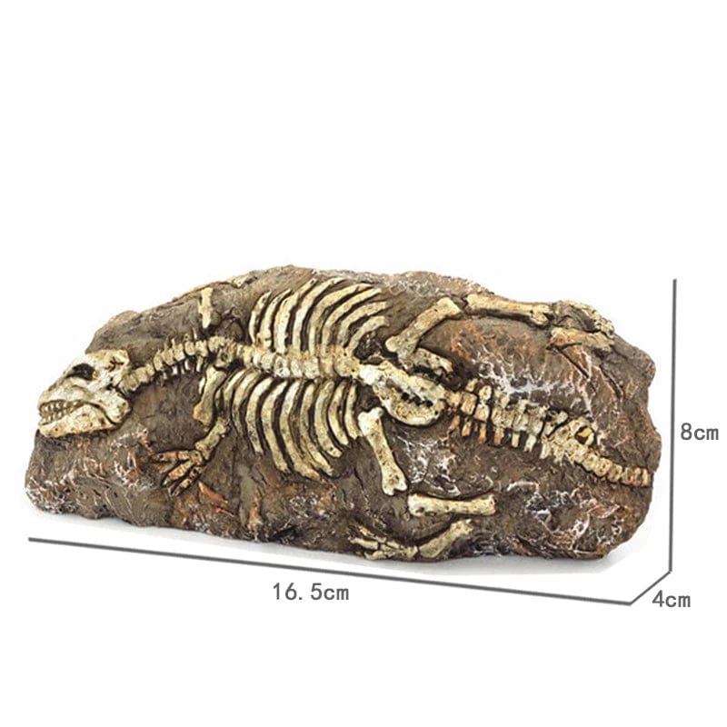 Animals Skull Fish Tank Fossil Dinosaur Ornaments Aquarium Rhinoceros Bone Decoration Fishbowl Crocodile Jellyfish Carp Turtle | Stornfield