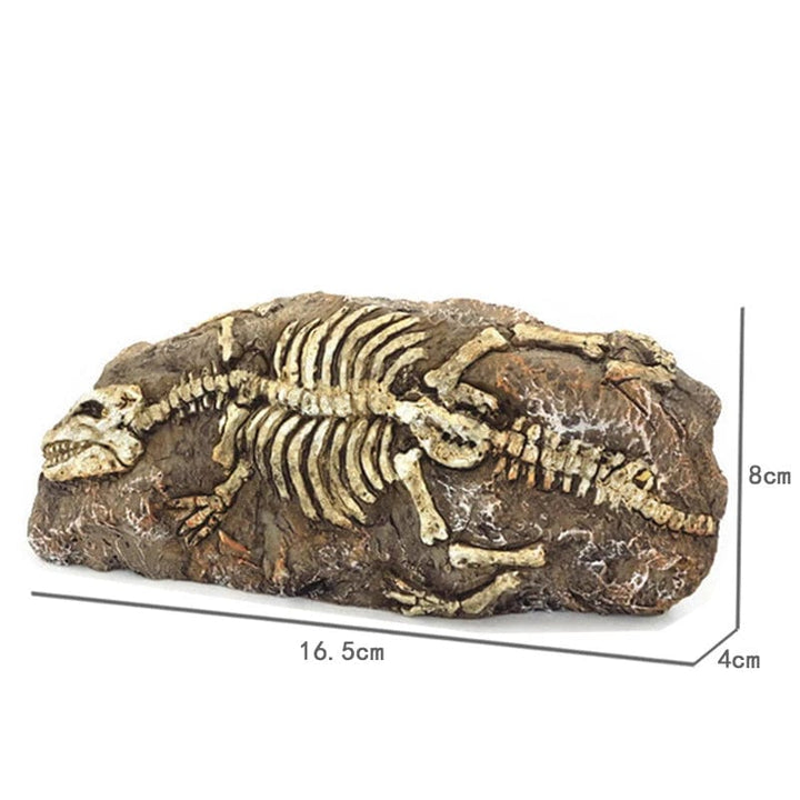 Animals Skull Fish Tank Fossil Dinosaur Ornaments Aquarium Rhinoceros Bone Decoration Fishbowl Crocodile Jellyfish Carp Turtle | Stornfield