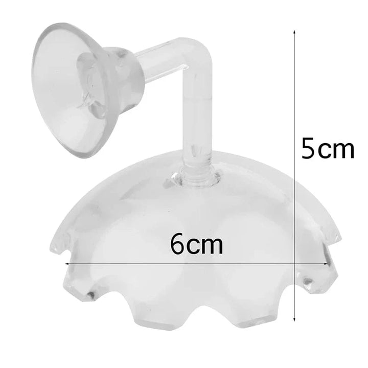 Shrimp Feeder Dish Shrimp Feed Dish Aquarium Fish Tank Shrimp Food Bowl Feeding Clear Glass Feeding Tube Dish Suction Accessory | Stornfield