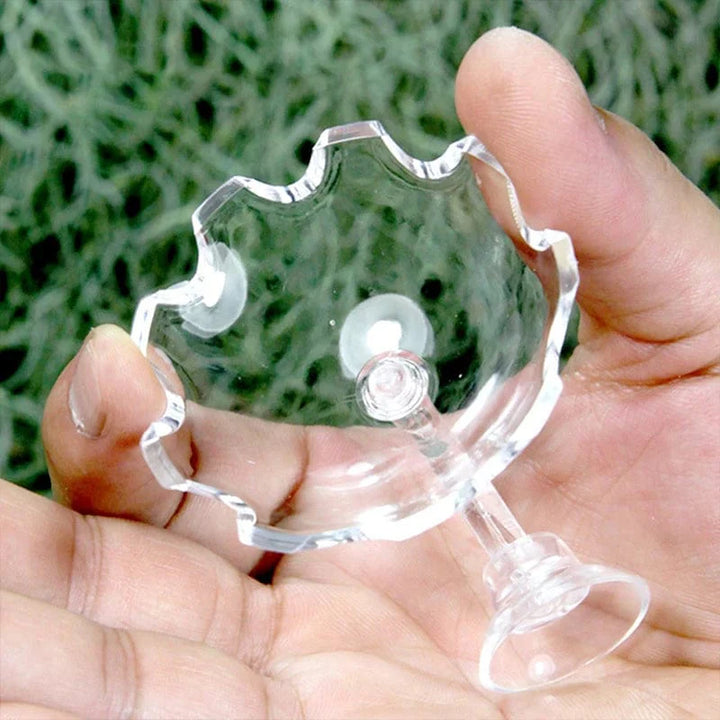 Shrimp Feeder Dish Shrimp Feed Dish Aquarium Fish Tank Shrimp Food Bowl Feeding Clear Glass Feeding Tube Dish Suction Accessory | Stornfield
