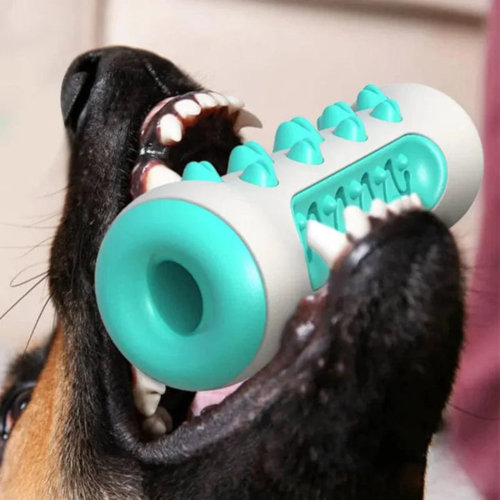 Dog Toy Teething Stick Chewable Teeth Cleaning Bones Dog Toothbrush TPR Safe Puppy Dental Care Cleaning Toys Supplies | Stornfield