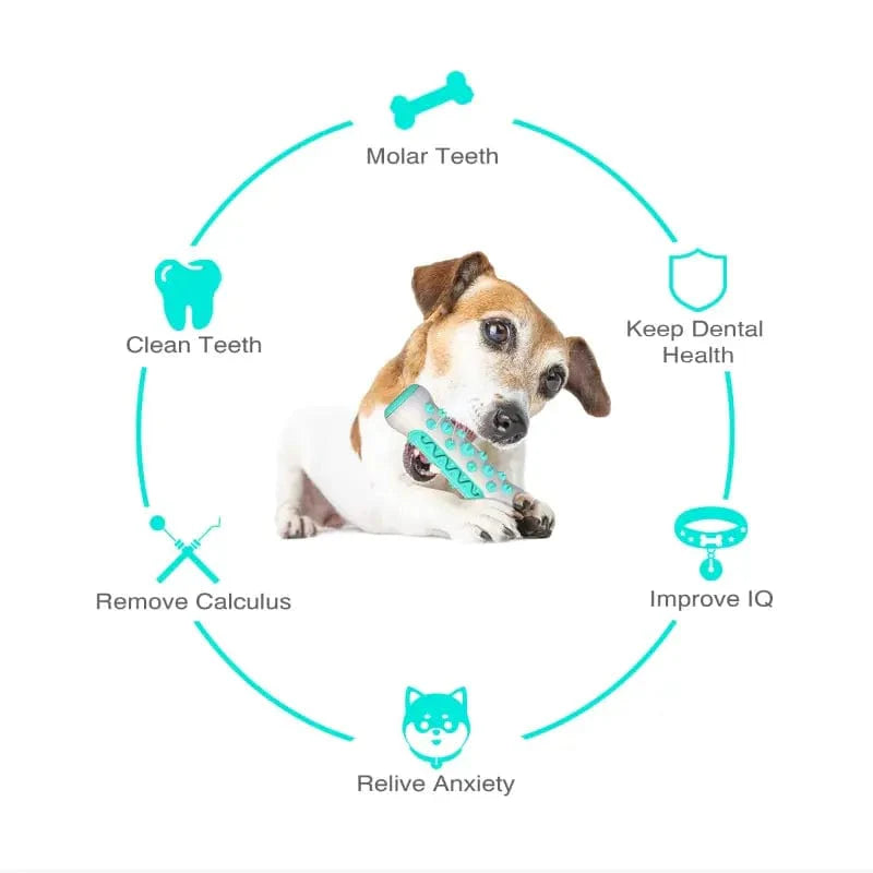 Dog Toy Teething Stick Chewable Teeth Cleaning Bones Dog Toothbrush TPR Safe Puppy Dental Care Cleaning Toys Supplies | Stornfield