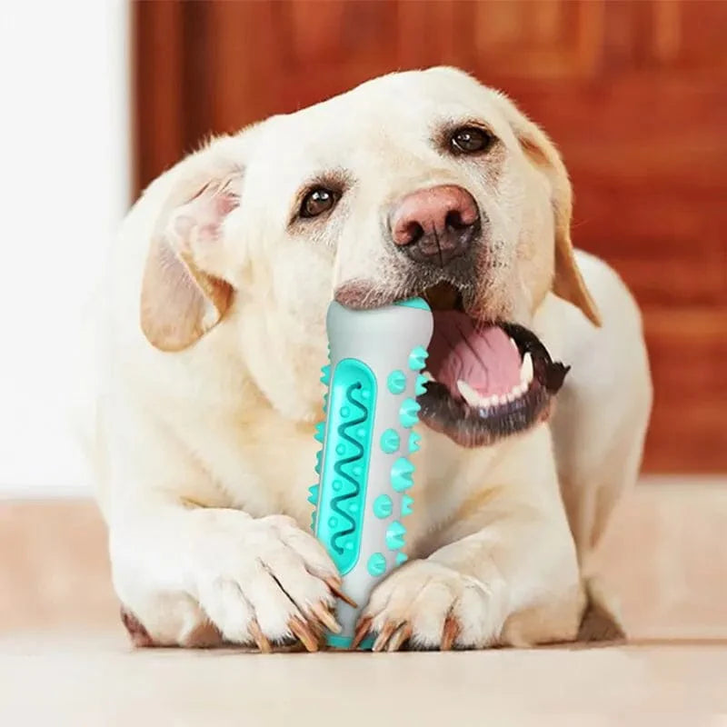 Dog Toy Teething Stick Chewable Teeth Cleaning Bones Dog Toothbrush TPR Safe Puppy Dental Care Cleaning Toys Supplies | Stornfield