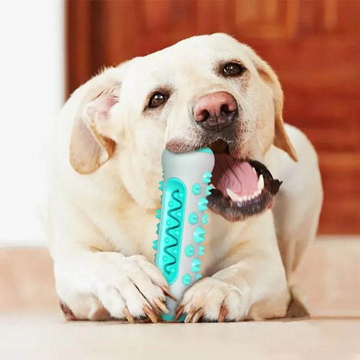 Dog Toy Teething Stick Chewable Teeth Cleaning Bones Dog Toothbrush TPR Safe Puppy Dental Care Cleaning Toys Supplies | Stornfield