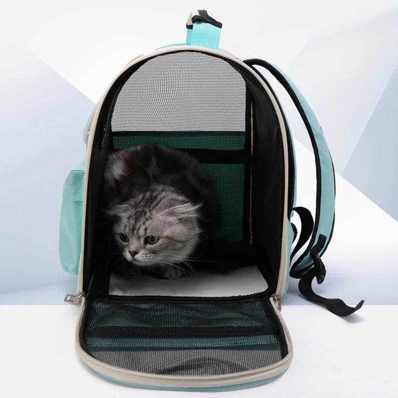 Cat Carrier Bags Windproof Outdoor Travel Backpack for Cat Small Dogs Transport Carrying Bag Cat Backpack Carriers With Cushion | Stornfield