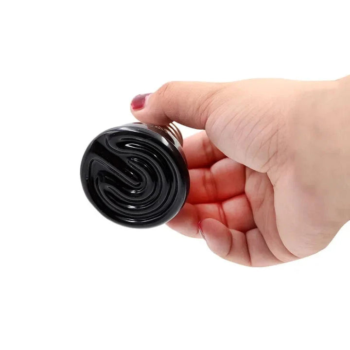 Ceramic Emitter Heat Light  Mini Black Pet Heating lamp Infrared Bulb  25/50/ 75/100W Brooder Chickens Reptile Lamp | Stornfield