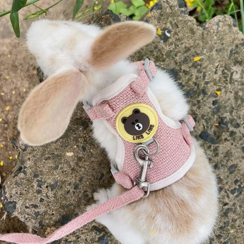 Cute Rabbit Harness Leash Set Bunny Pet Accessories Small Pet Carrier Teddy Bear Cat Leash Rabbit Collar  Rabbit Accessories | Stornfield