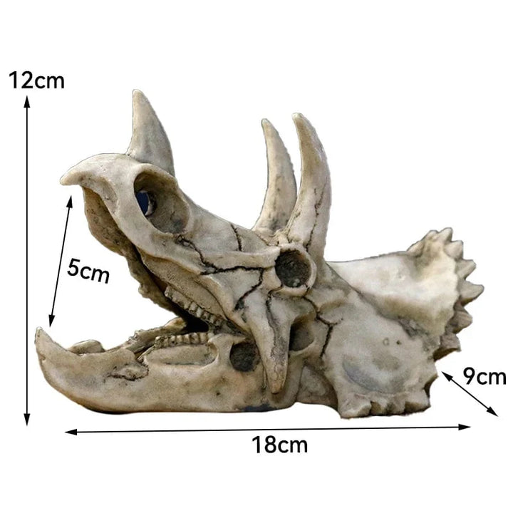 Animals Skull Fish Tank Fossil Dinosaur Ornaments Aquarium Rhinoceros Bone Decoration Fishbowl Crocodile Jellyfish Carp Turtle | Stornfield