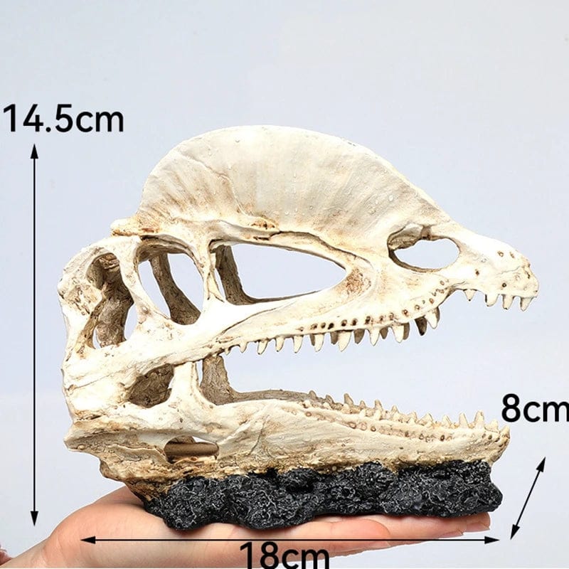 Animals Skull Fish Tank Fossil Dinosaur Ornaments Aquarium Rhinoceros Bone Decoration Fishbowl Crocodile Jellyfish Carp Turtle | Stornfield