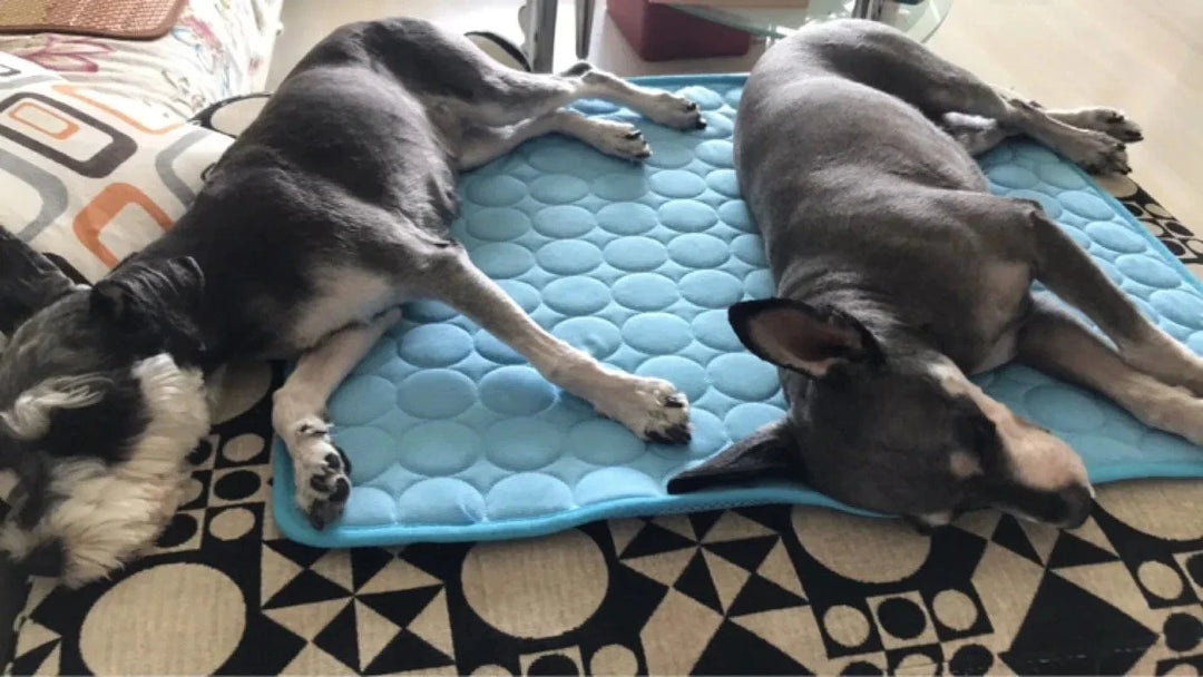 Dog Cooling Mat Summer Pad for Dogs Cat Blanket Breathable Dog Bed Kennel Puppy Sleeping Sofa Cushion Dog Accessories | Stornfield