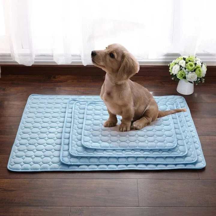 Dog Cooling Mat Summer Pad for Dogs Cat Blanket Breathable Dog Bed Kennel Puppy Sleeping Sofa Cushion Dog Accessories | Stornfield