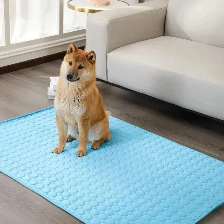 Dog Cooling Pad Ice Silk Fabric Self Cooling Gel Breathable Washable Summer Pet Mat for Dogs Cats Sofa Kennel Bed Comfortable La | Stornfield