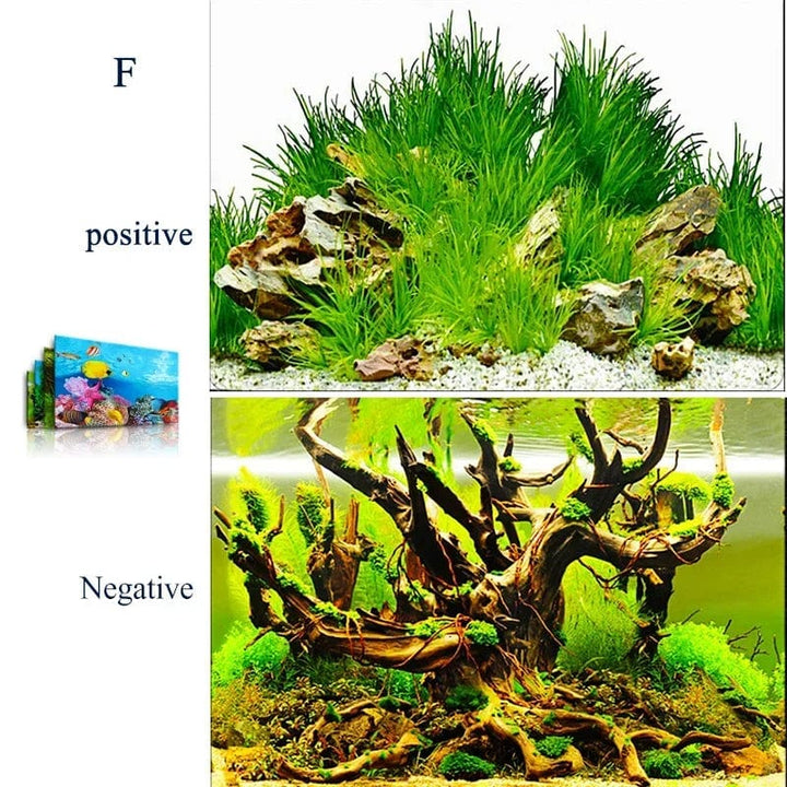 3d Marine Background for Aquarium Decorations Stickers & Poster Goods Decoration Fish Tanks and Aquariums Accessories Aquascape | Stornfield