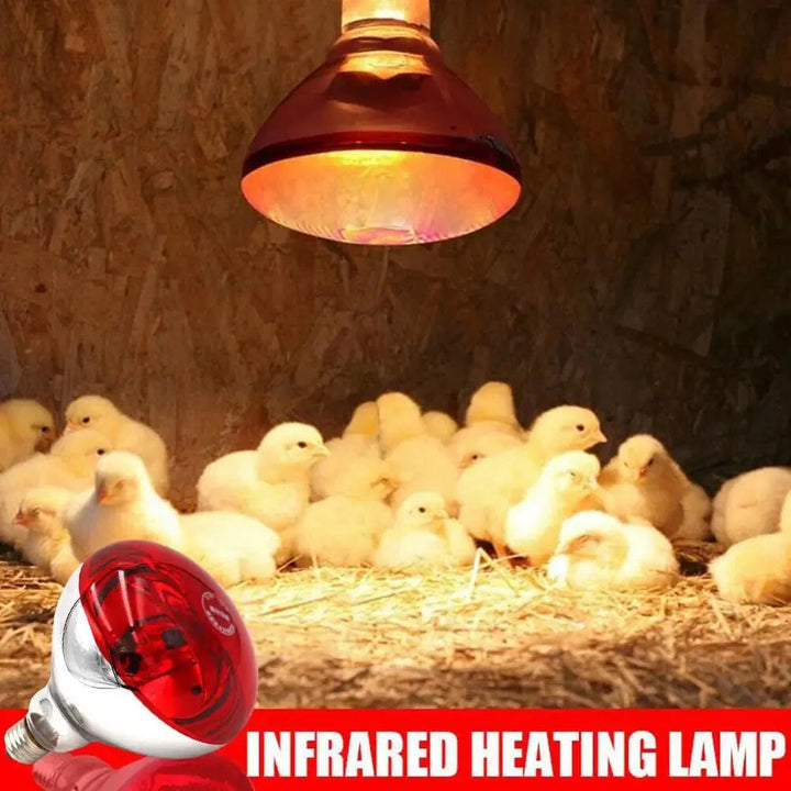 Farm Thermal Light Preservation Reptile Habitat Lights Chicken Infrared Heater Light Infrared Lamp Hatch Heating Chick Lamp | Stornfield