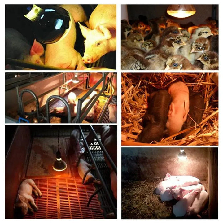 Farm Thermal Light Preservation Reptile Habitat Lights Chicken Infrared Heater Light Infrared Lamp Hatch Heating Chick Lamp | Stornfield
