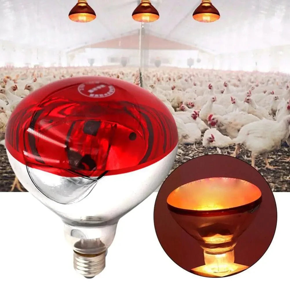 Farm Thermal Light Preservation Reptile Habitat Lights Chicken Infrared Heater Light Infrared Lamp Hatch Heating Chick Lamp | Stornfield