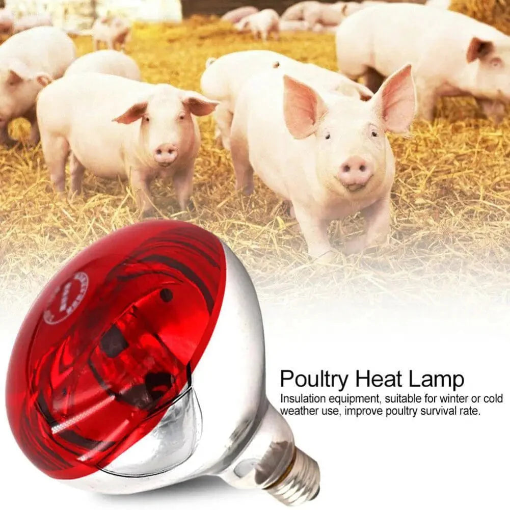 Farm Thermal Light Preservation Reptile Habitat Lights Chicken Infrared Heater Light Infrared Lamp Hatch Heating Chick Lamp | Stornfield