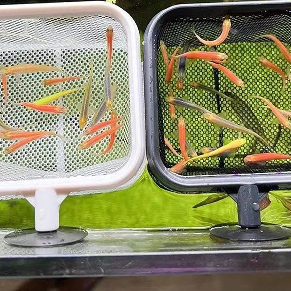 Fishing Landing Net Rustproof Corrosion Resistant Stainless Steel Fishing Net For Catchin Fish Shrimp Tank Aquarium Accessories | Stornfield