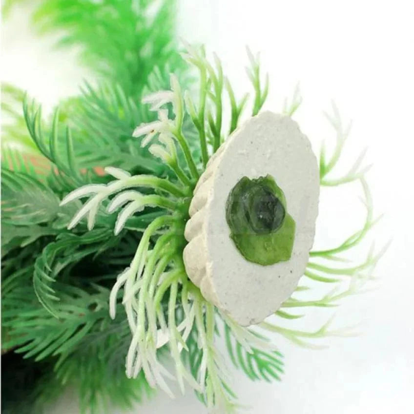 Aquarium simulation plant aquatic plants | Stornfield