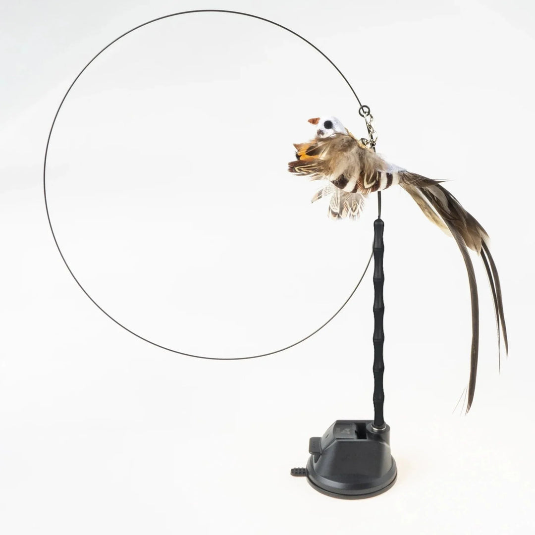 Handfree Bird/Feather Cat Wand with Bell Powerful Suction Cup Interactive Toys for Cats Kitten Hunting Exercise Pet Products | Stornfield