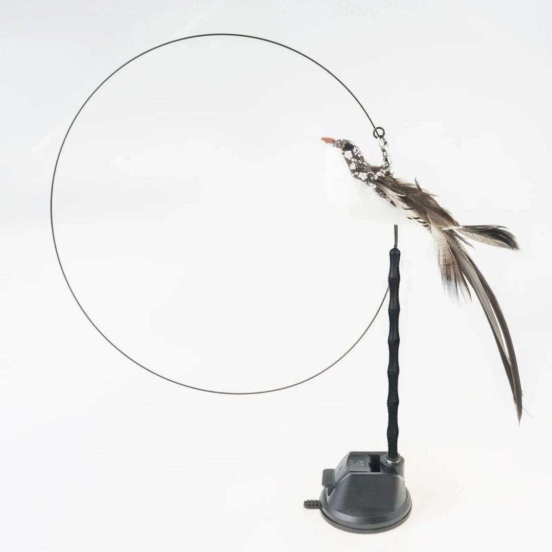 Handfree Bird/Feather Cat Wand with Bell Powerful Suction Cup Interactive Toys for Cats Kitten Hunting Exercise Pet Products | Stornfield