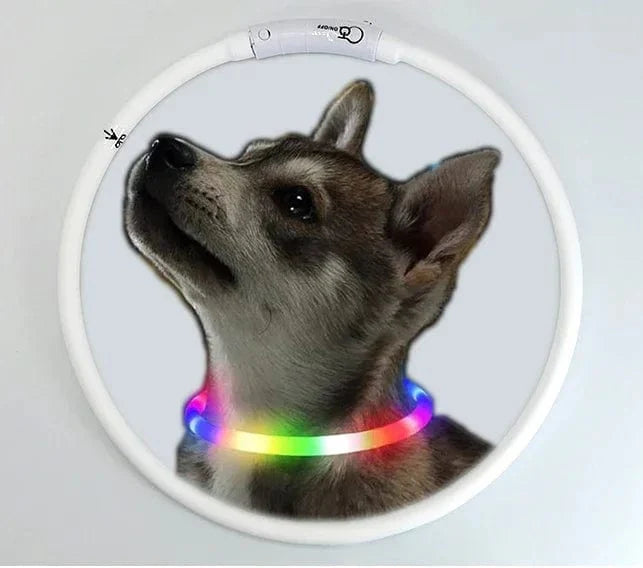 3 Modes Dog Luminou Charge Collar Led Usb Cat Silicone Colorful Collar Detachable Night Glow Pet Loss Prevention Dog Accessories | Stornfield