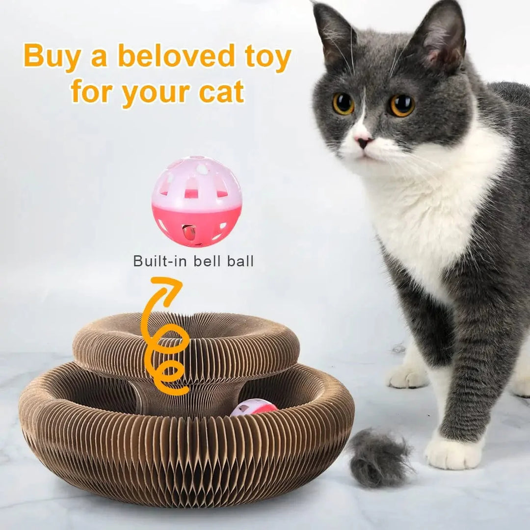 Magic Organ Cat Toy Cats Scratcher Scratch Board Round Corrugated Scratching Post Toys for Cats Grinding Claw Cat Accessories | Stornfield