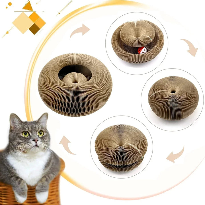 Magic Organ Cat Toy Cats Scratcher Scratch Board Round Corrugated Scratching Post Toys for Cats Grinding Claw Cat Accessories | Stornfield