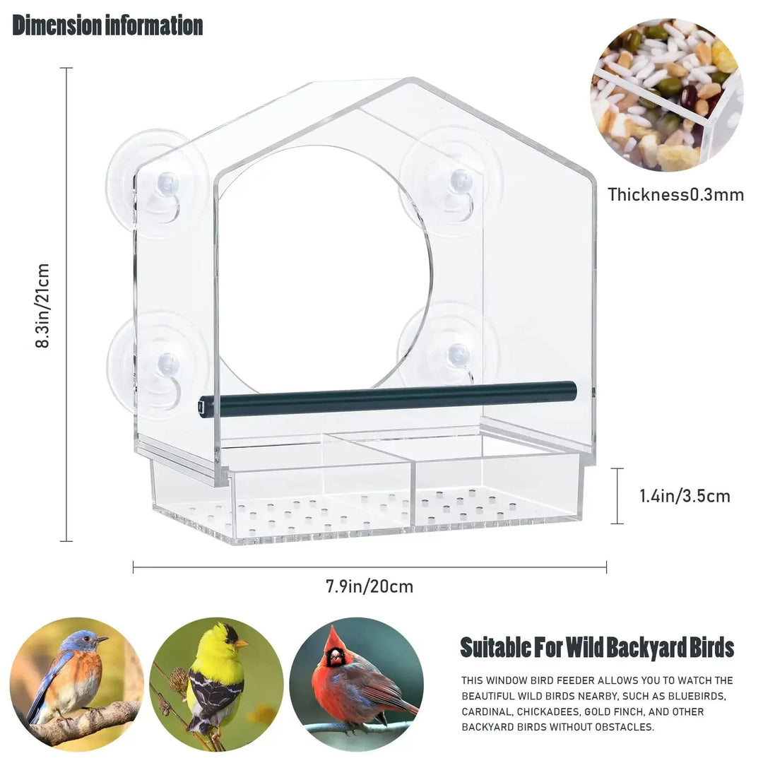 Acrylic Clear Glass Window Birds Hanging Feeder Birdhouse Food Feeding House Table Seed Peanut Suction Cup | Stornfield
