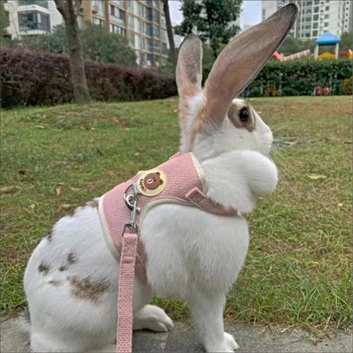 Newest Cute Rabbit Harness and Leash Set Bunny Pet Accessories Vest Harnesses Rabbit Leashes for Outdoor Walking Pets Supplies | Stornfield