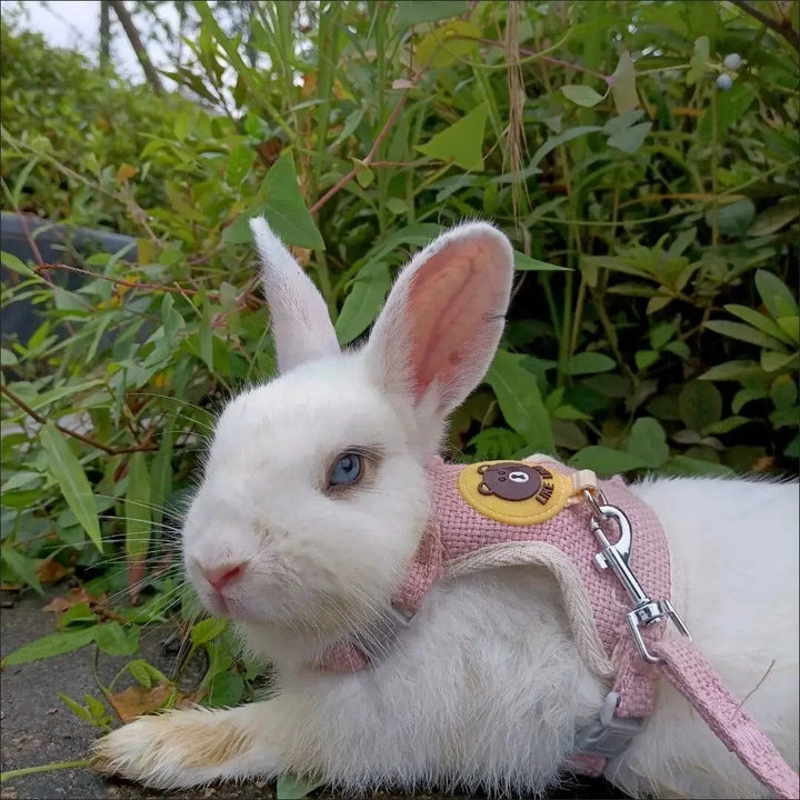 Newest Cute Rabbit Harness and Leash Set Bunny Pet Accessories Vest Harnesses Rabbit Leashes for Outdoor Walking Pets Supplies | Stornfield