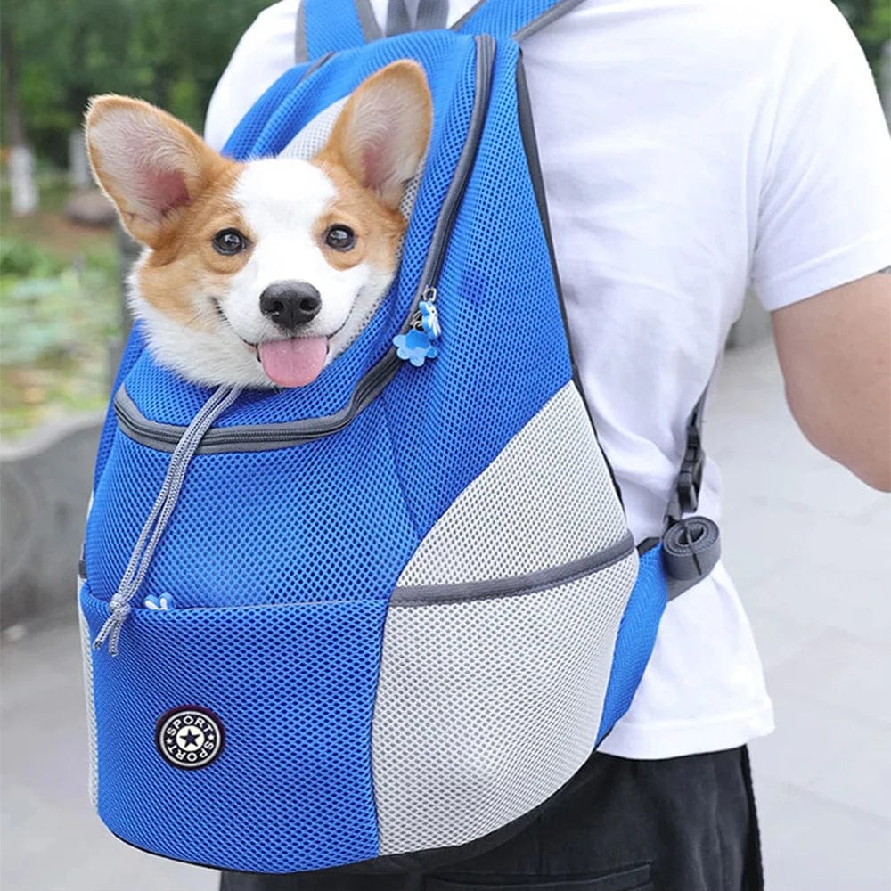 Portable Dog Carry Pack Travel Breathable Pet Dog Bag Carrying Out Double Shoulder Dog Backpacking Carrier with Chihuahua Puppy | Stornfield