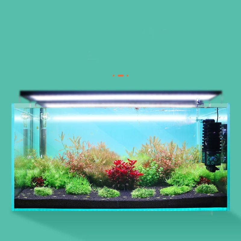 Qanvee Electric Water Sponge USB Purifier Biological Oxygen Fish Tank Filter Foam Aquarium Accessories Filtro Equipment Goods | Stornfield