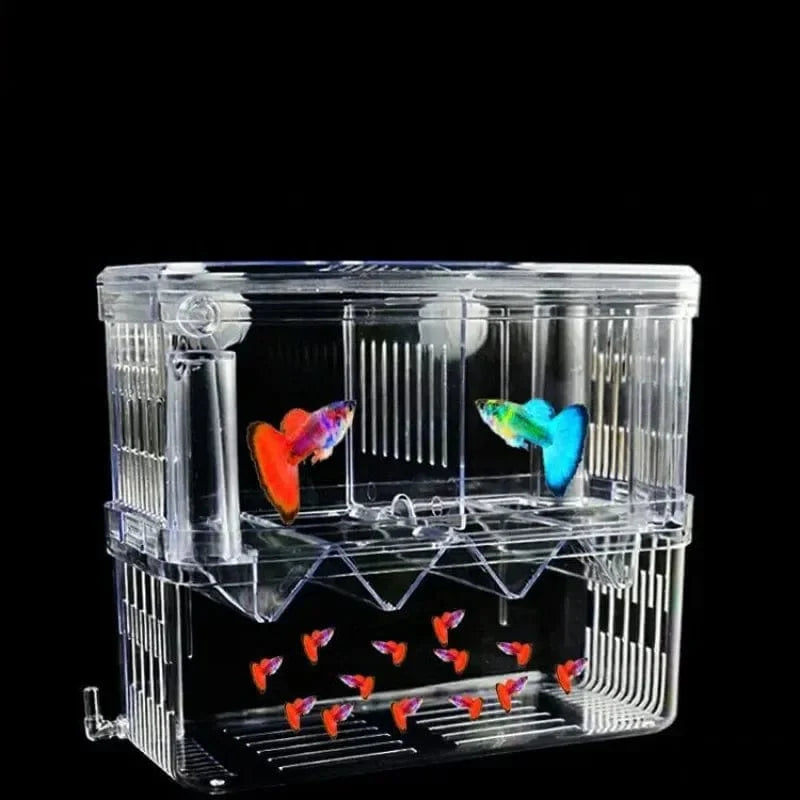 S/L/XL Aquarium Acrylic Double-Deck Clear Fish Breeding Isolation Box Aquarium Breeder Fish Hatchery Divider Shrimp Fish Injured | Stornfield