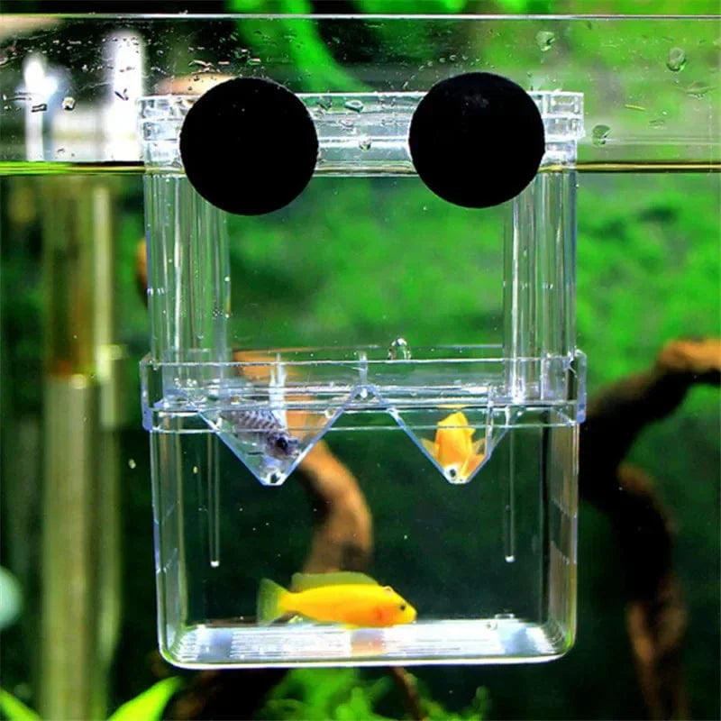 S/L/XL Aquarium Acrylic Double-Deck Clear Fish Breeding Isolation Box Aquarium Breeder Fish Hatchery Divider Shrimp Fish Injured | Stornfield