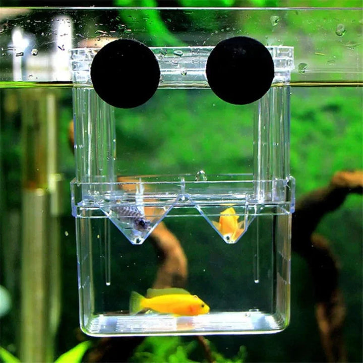 S/L/XL Aquarium Acrylic Double-Deck Clear Fish Breeding Isolation Box Aquarium Breeder Fish Hatchery Divider Shrimp Fish Injured | Stornfield