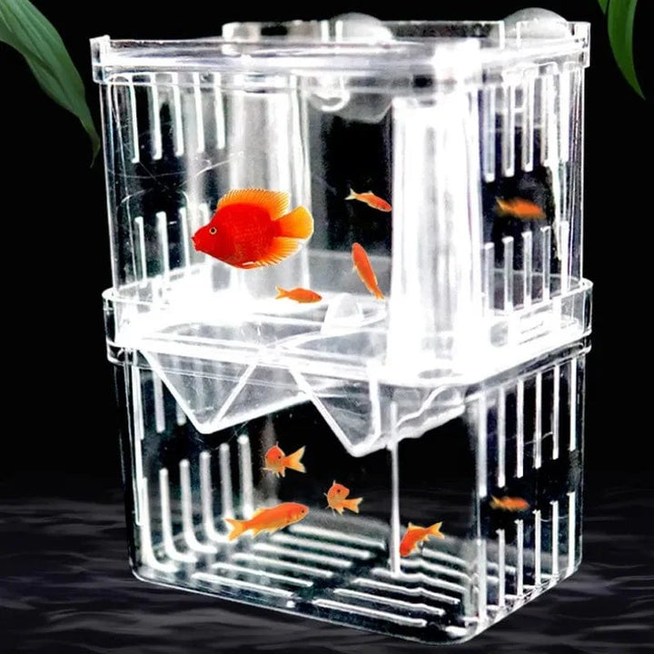 S/L/XL Aquarium Acrylic Double-Deck Clear Fish Breeding Isolation Box Aquarium Breeder Fish Hatchery Divider Shrimp Fish Injured | Stornfield