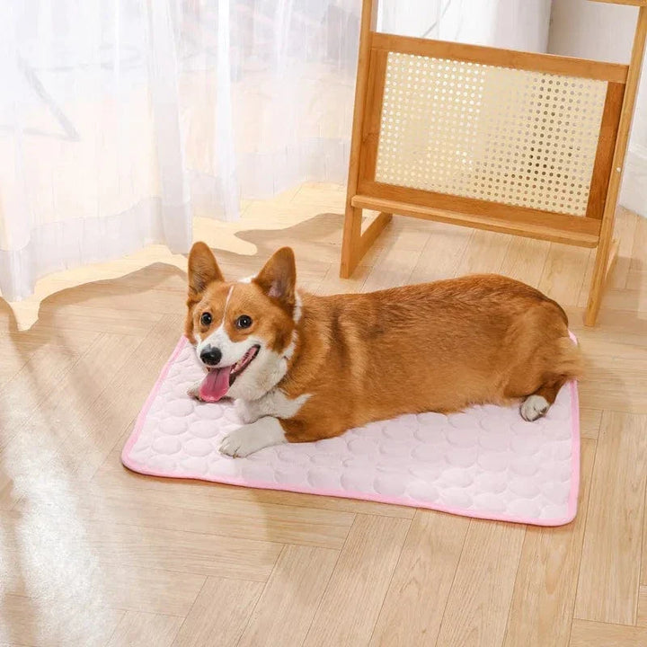 Summer Cooling Pet Mat Gel Ice Pad for Dogs Cats Breathable Soft Kennel Bed Non-Slip Hot Weather Cool Pad Pet Supplies | Stornfield